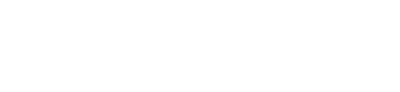 Levow DWI Logo