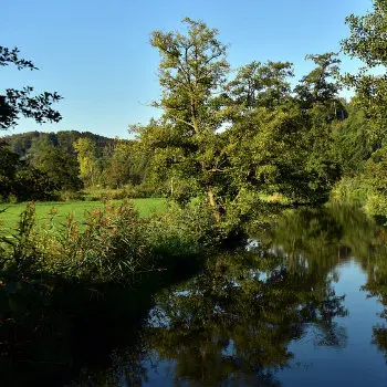 river and wetland